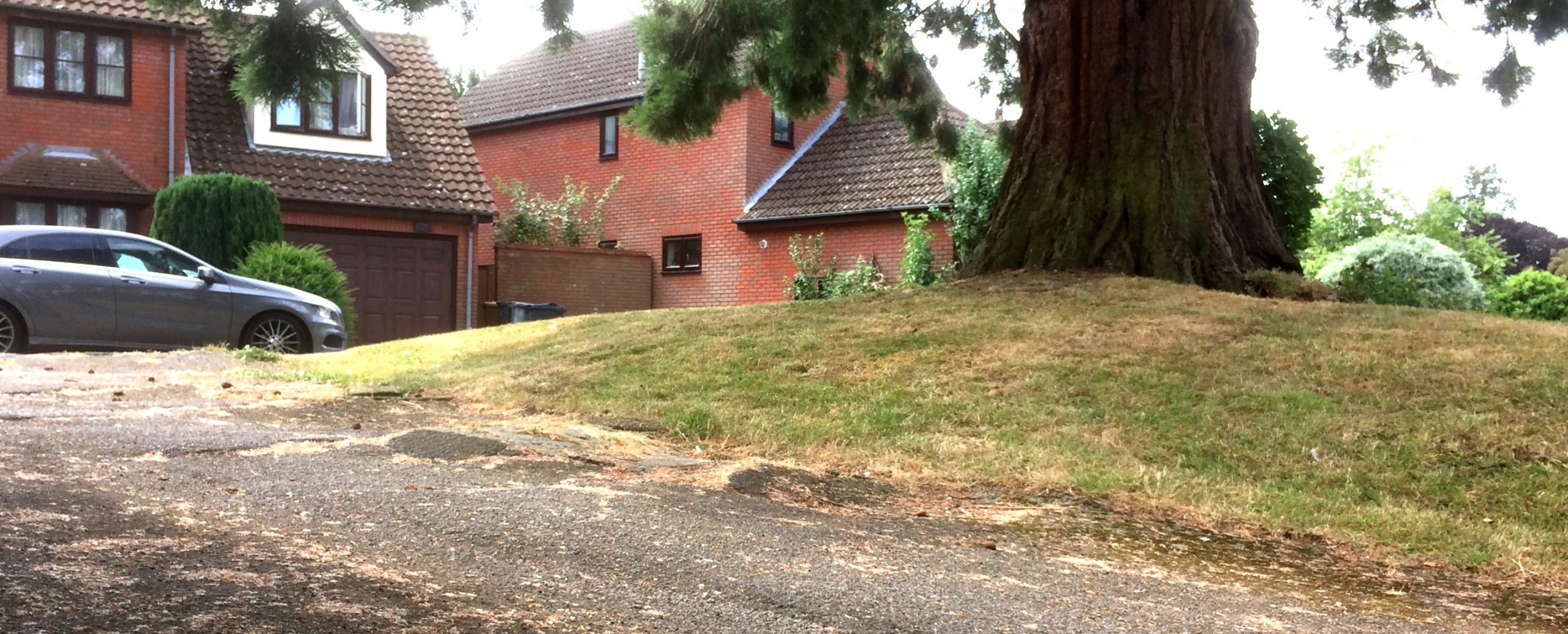 Problem with trees on Harlow Council owned land?
