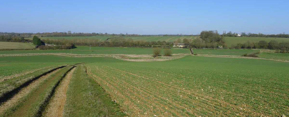 Local Authorities Question Local Development Plans