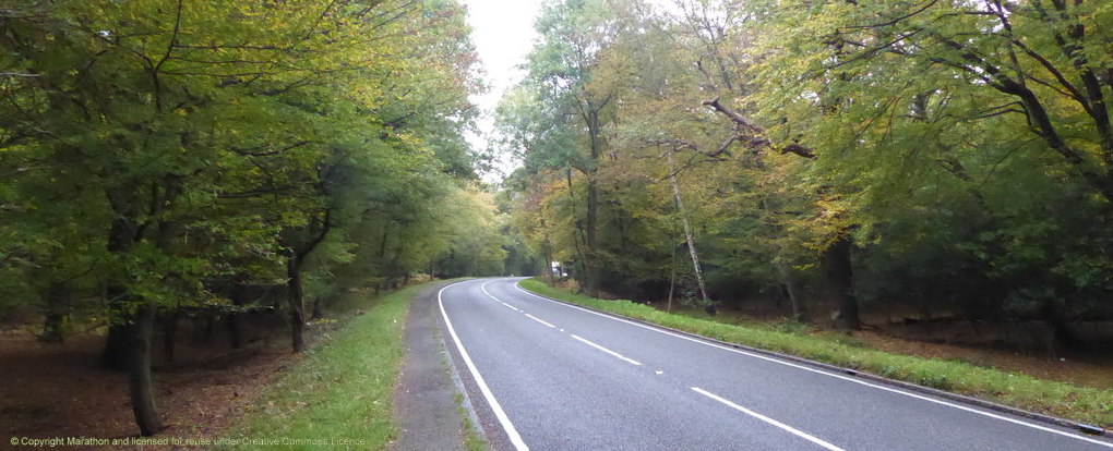 Epping Forest congestion charge